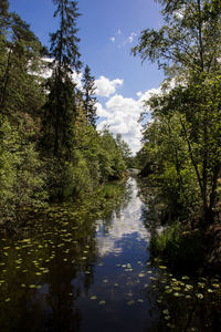 Scenic view of lake in forest against sky