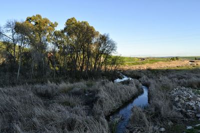 Scenic view of landscape against clear sky