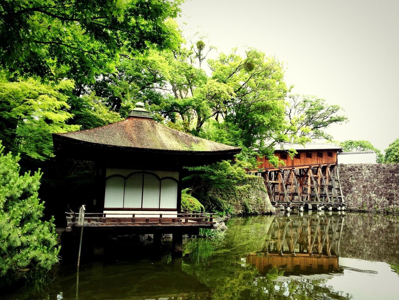 Tea-ceremony