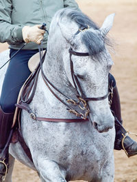 Low section of man horseback riding in ranch