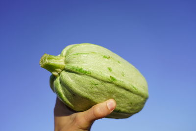 Close-up of hand holding apple against blue sky