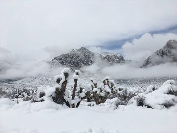 Snow covered land and mountains against sky