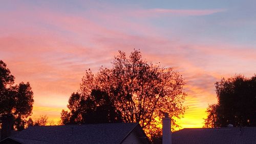 Silhouette of trees against sky at sunset