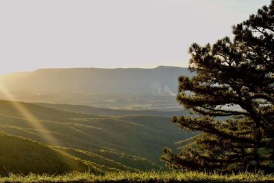 Scenic view of landscape against clear sky