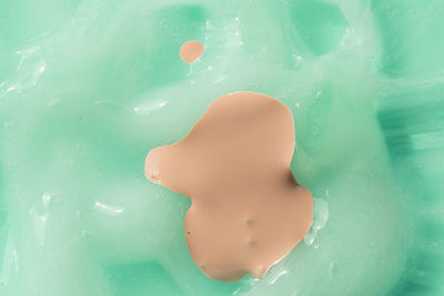 High angle view of jellyfish swimming in pool