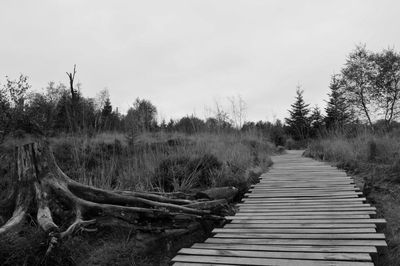 Boardwalk amidst trees against sky