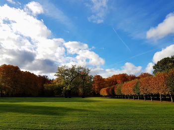 Trees on field against sky during autumn