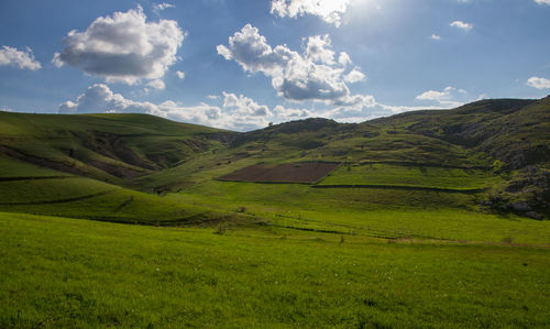 Scenic view of green landscape against sky