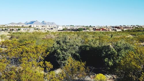 Scenic view of townscape against clear blue sky