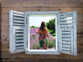 Rear view of woman in a field of lavender  seen through a wooden window