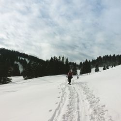 People walking on snow covered landscape