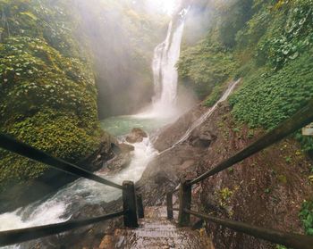 Scenic view of waterfall in forest