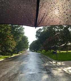 Wet road by trees against sky