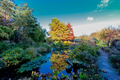 Autumn trees by lake against sky