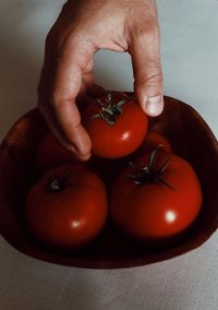 Close-up of hand holding tomatoes