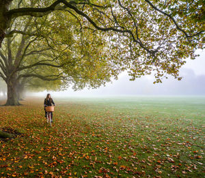 Woman riding bicycle on grass by trees in park during autumn