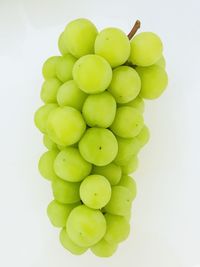 Close-up of grapes against white background