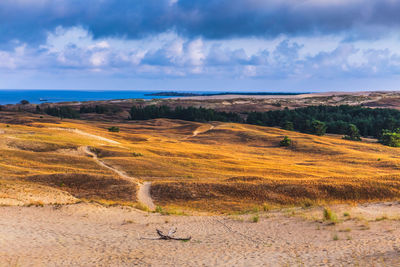 Scenic view of landscape against sky