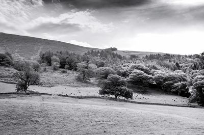 Scenic view of landscape against sky