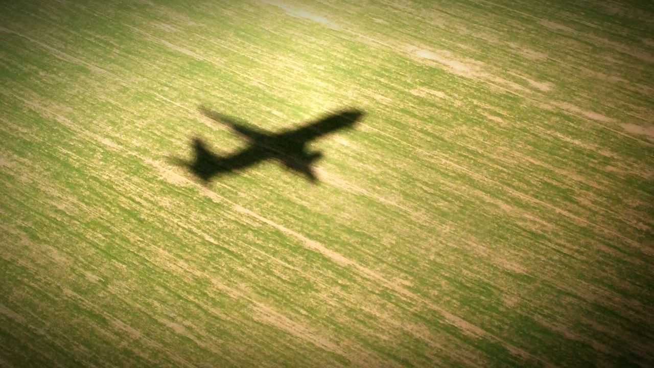 high angle view, field, flying, grass, animal themes, green color, shadow, landscape, outdoors, one animal, on the move, mid-air, day, one person, nature, transportation, sunlight, full length, motion