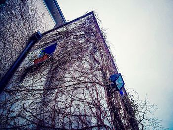 Low angle view of bare tree against sky