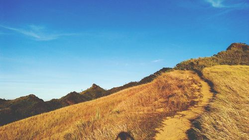 Scenic view of landscape against blue sky