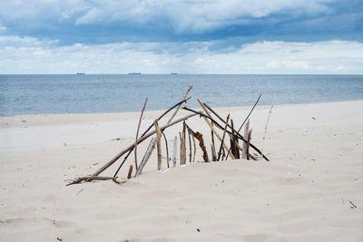 Driftwood on beach by sea against sky