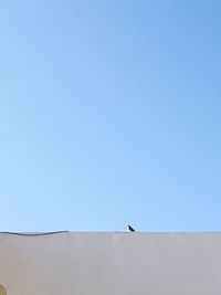 Low angle view of bird perching on retaining wall against clear blue sky