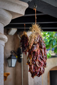 Close-up of ice cream hanging from ceiling