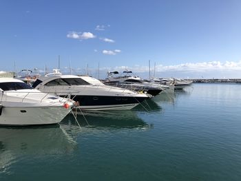 Sailboats moored at harbor against sky