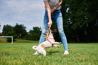 Owner walking dog at green field