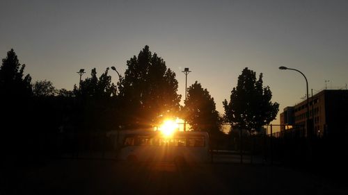 Silhouette trees against clear sky during sunset