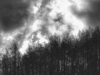 Low angle view of trees against cloudy sky