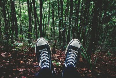 Low section of man against trees at forest