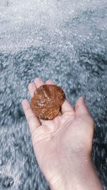 High angle view of hand holding ice over sea