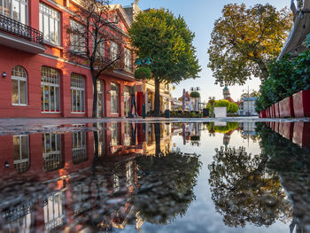 Reflection of trees and buildings in lake