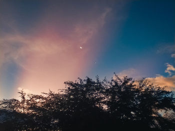 Low angle view of tree against sky during sunset
