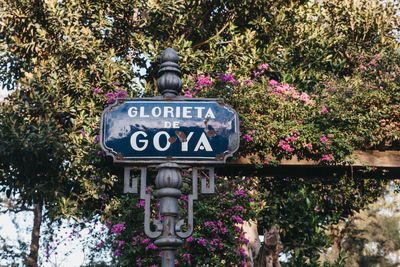 Low angle view of text on flowering plant against trees