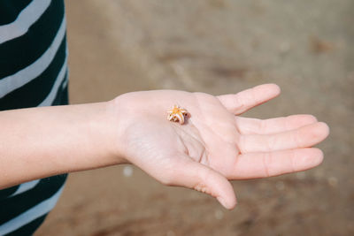 Midsection of person holding starfish at beach