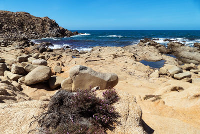 Rock formation on beach against sky