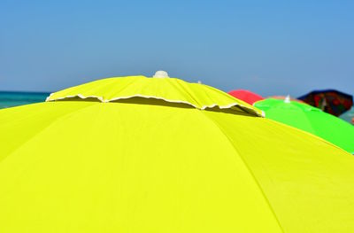 Close-up of yellow leaf against clear blue sky