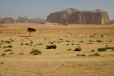 Scenic view of desert land against sky