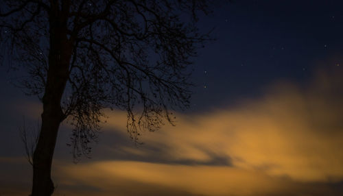 Low angle view of silhouette tree against sky at sunset