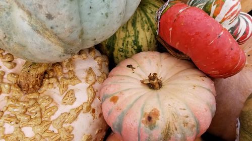 Close-up of pumpkins