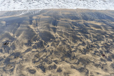 High angle view of beach