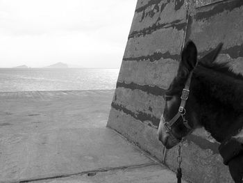 Woman looking at sea