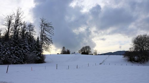 Trees on snow covered field against sky