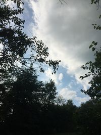 Low angle view of trees against cloudy sky