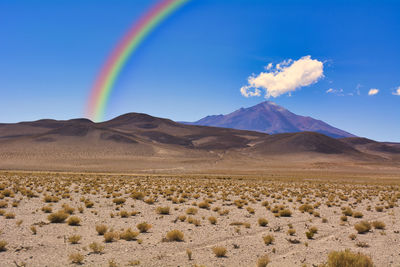 The desolate land of the altiplano plain