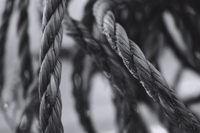 Close-up of rope